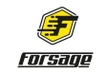 Интернет-провайдер Forsage