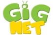 Подключение к домашнему интернету GIGNET