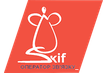 Интернет-провайдер SKIF